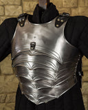 Dragomir armour set blank medium